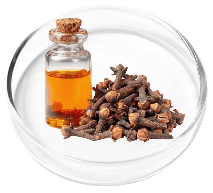 Essential Oils ingredient research