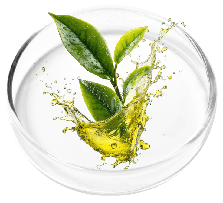 Tea Tree Oil ingredient research