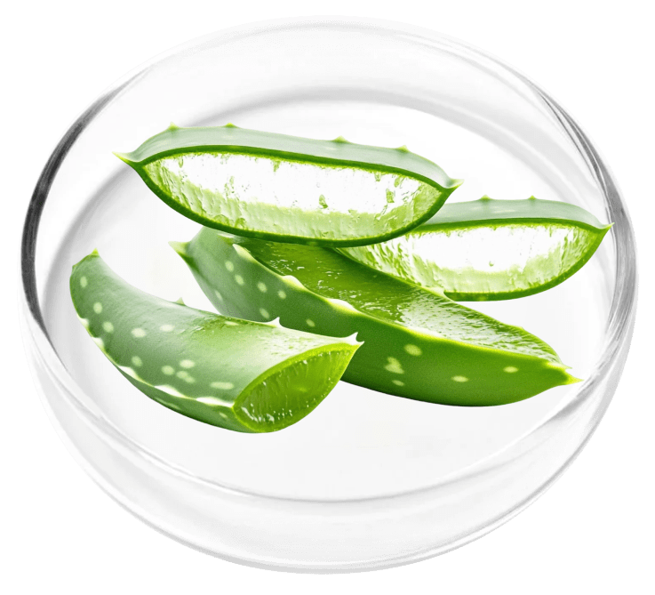 Carrier Oils ingredient research